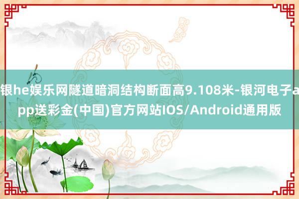 银he娱乐网隧道暗洞结构断面高9.108米-银河电子app送彩金(中国)官方网站IOS/Android通用版