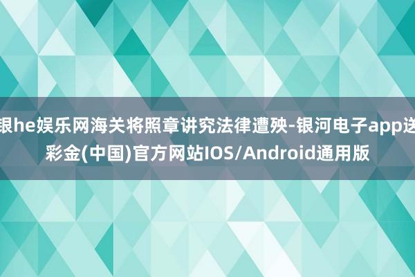 银he娱乐网海关将照章讲究法律遭殃-银河电子app送彩金(中国)官方网站IOS/Android通用版