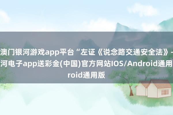 澳门银河游戏app平台“左证《说念路交通安全法》-银河电子app送彩金(中国)官方网站IOS/Android通用版