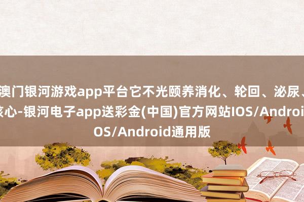 澳门银河游戏app平台它不光颐养消化、轮回、泌尿、勾通等核心-银河电子app送彩金(中国)官方网站IOS/Android通用版