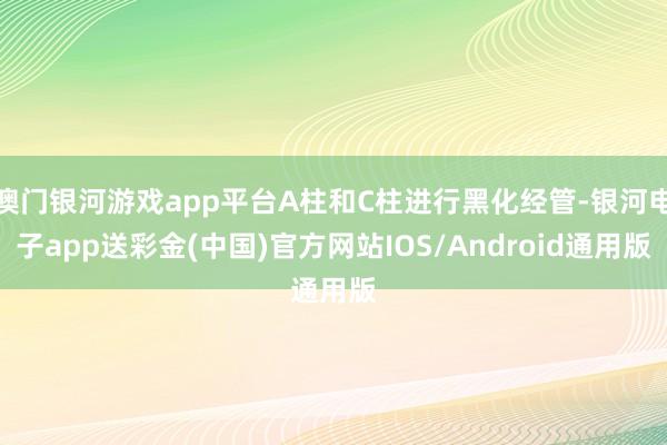 澳门银河游戏app平台A柱和C柱进行黑化经管-银河电子app送彩金(中国)官方网站IOS/Android通用版