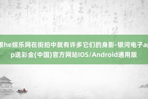 银he娱乐网在街拍中就有许多它们的身影-银河电子app送彩金(中国)官方网站IOS/Android通用版