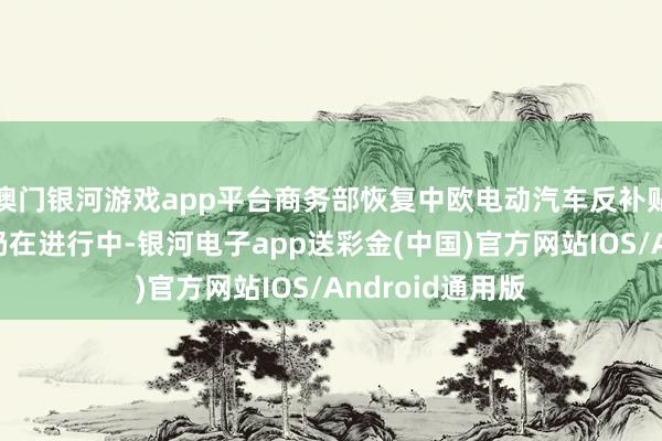 澳门银河游戏app平台商务部恢复中欧电动汽车反补贴案发扬：磋议仍在进行中-银河电子app送彩金(中国)官方网站IOS/Android通用版