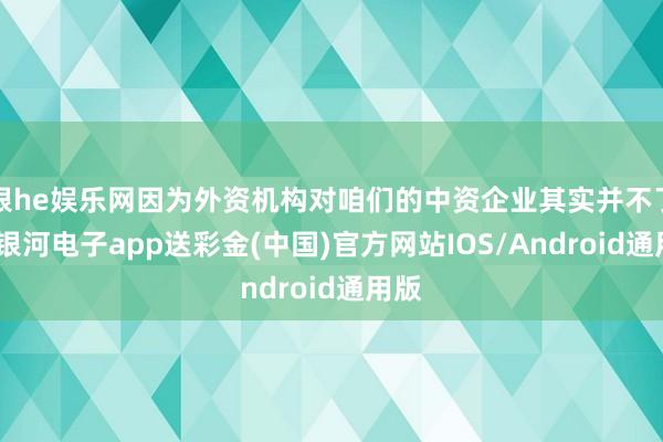 银he娱乐网因为外资机构对咱们的中资企业其实并不了解-银河电子app送彩金(中国)官方网站IOS/Android通用版