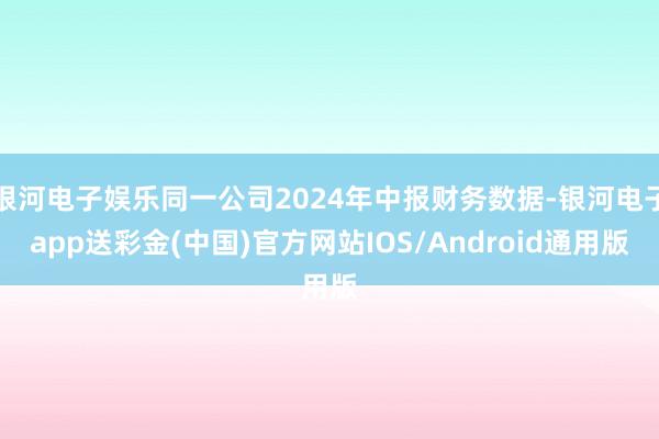 银河电子娱乐同一公司2024年中报财务数据-银河电子app送彩金(中国)官方网站IOS/Android通用版