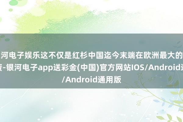 银河电子娱乐这不仅是红杉中国迄今末端在欧洲最大的一笔投资-银河电子app送彩金(中国)官方网站IOS/Android通用版